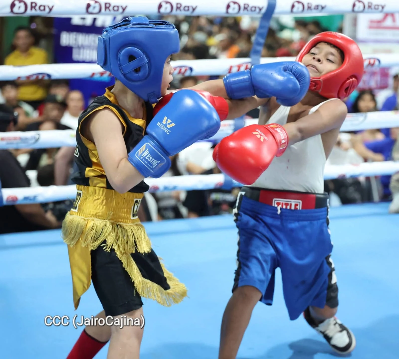 BOXEO-(5)