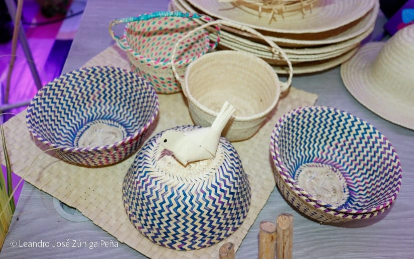 EXPO-(13)