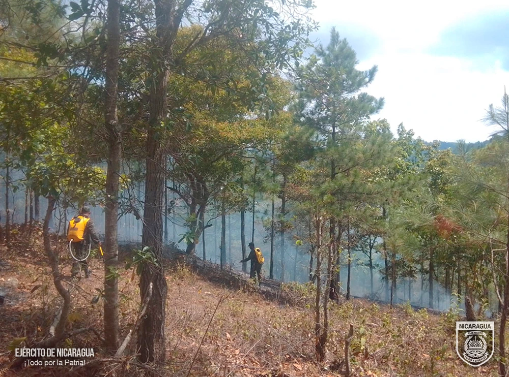 INCENDIO3