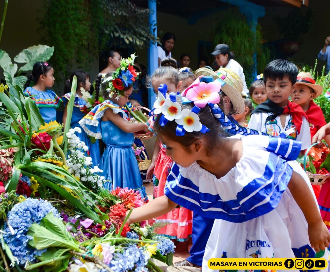 ROMERIA2