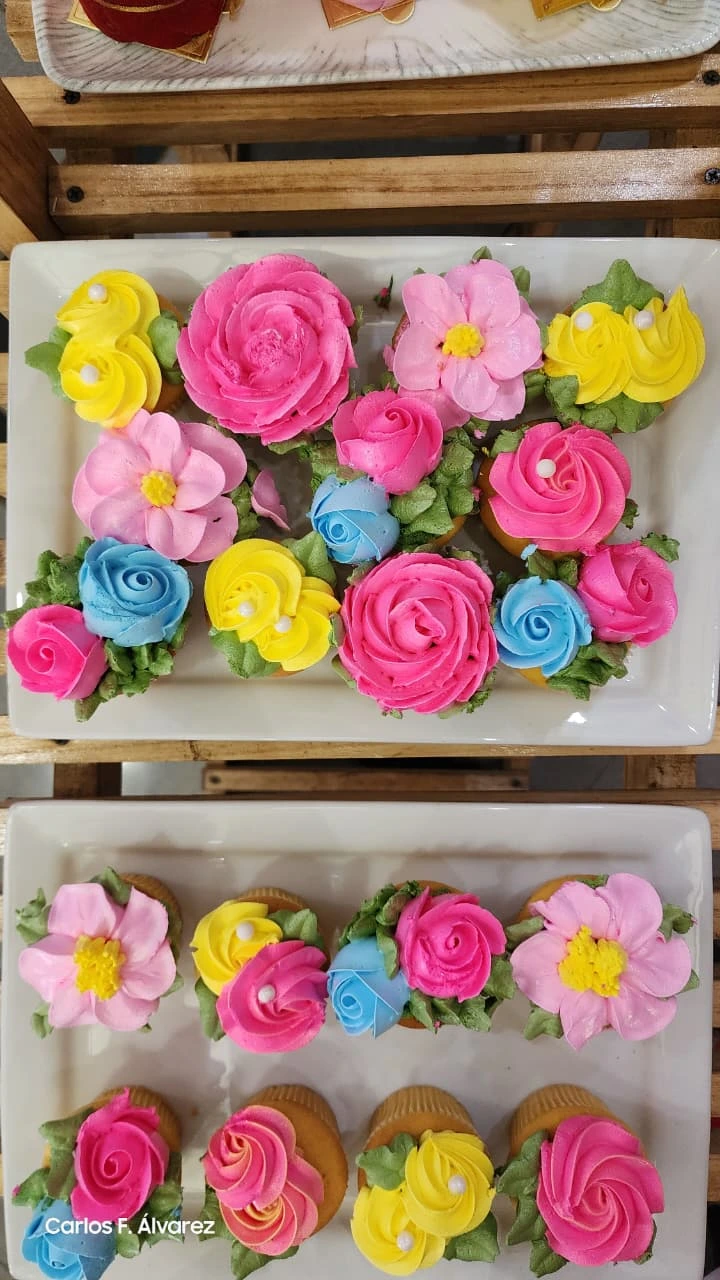 PASTELES4