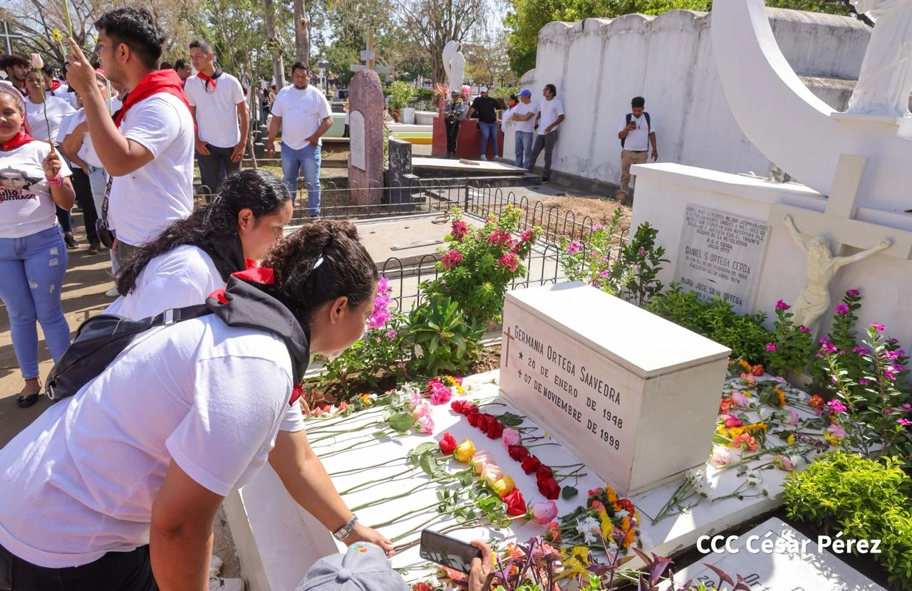 FLORES-(18)
