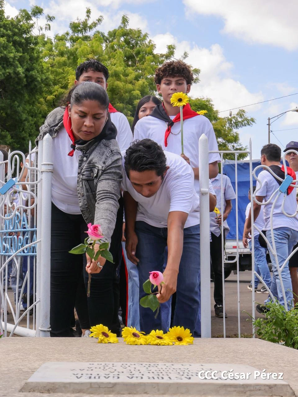 FLORES-(19)