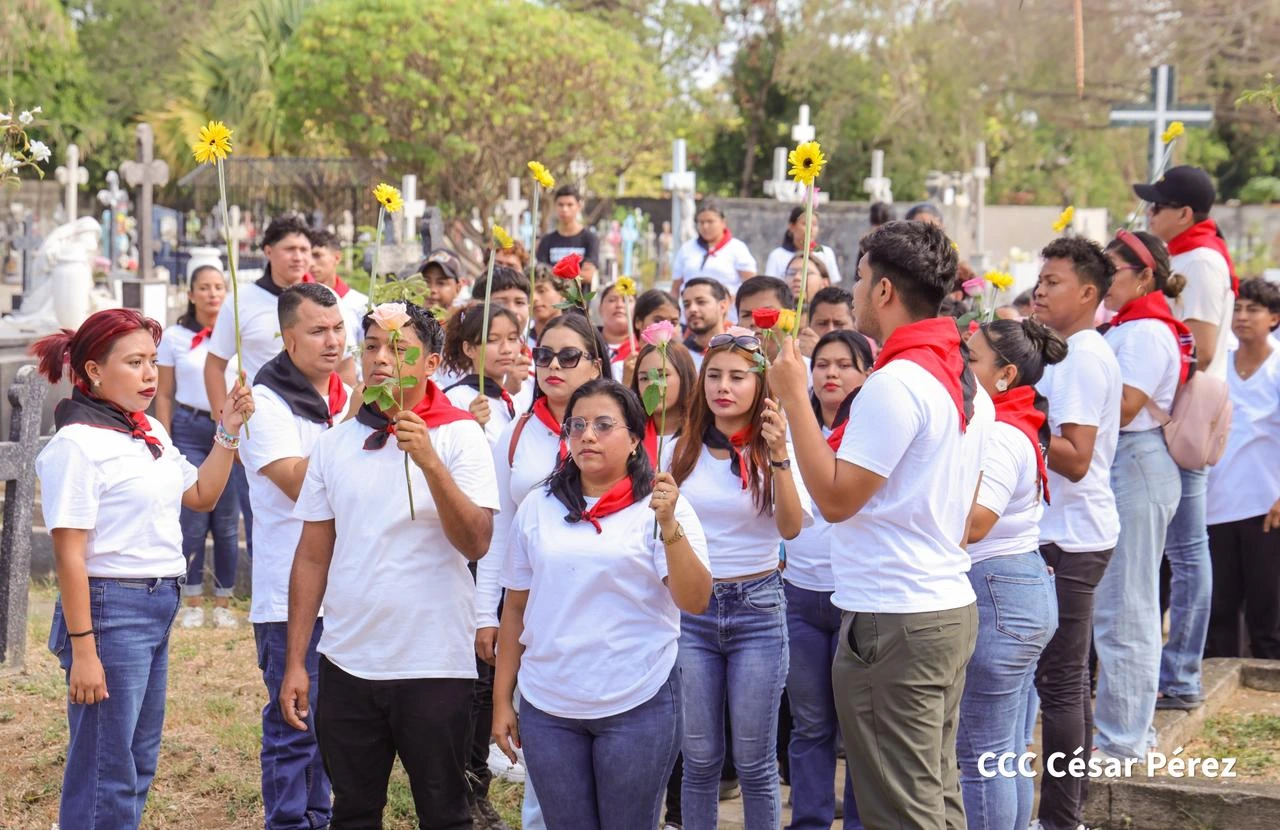FLORES-(24)
