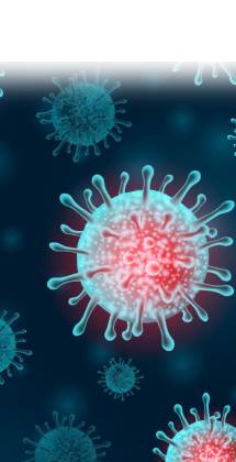 Batalla contra el Coronavirus